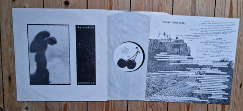 The orchids penetration - orchids, 12"