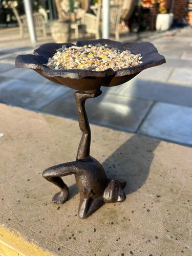 Cast iron frog bird - frog, feeder