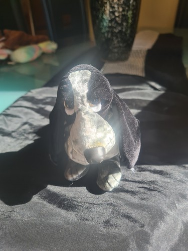 Hush puppies basset hound - puppies, 6”