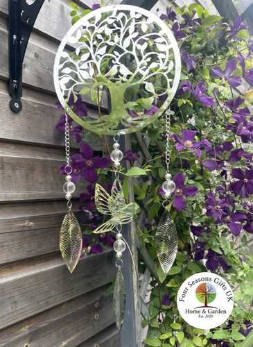 Mirrored tree life birds - of,