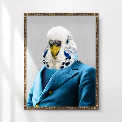 Budgie budgerigar art print - budgie,