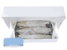 Calamari Squid 1Ib - 5x1lb