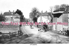 2051 fox hunting - ke,