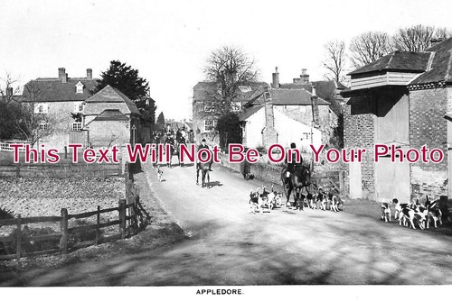 2051 fox hunting - ke,