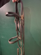 Brown Mini Shetland Filly Slip Brass Fittings With Chain Lead Used