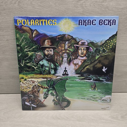 Akae beka polarities - akae, 12"