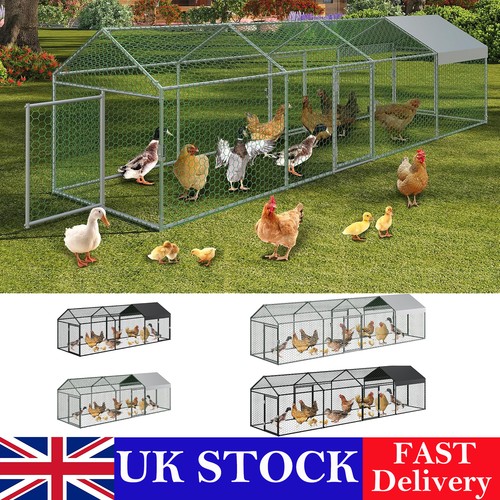 Metal chicken run - metal, cage