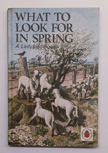 Vintage ladybird book - vintage, what