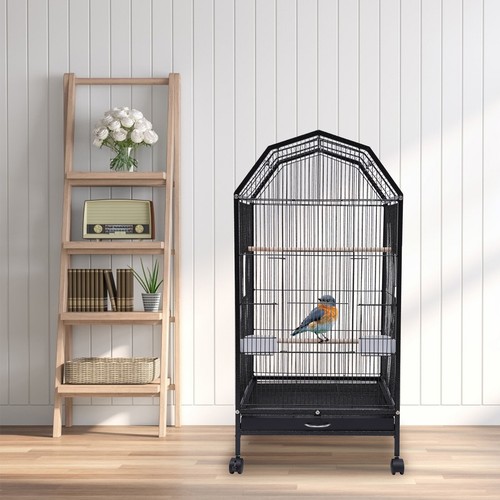 Parakeet bird cage with - bird, stand