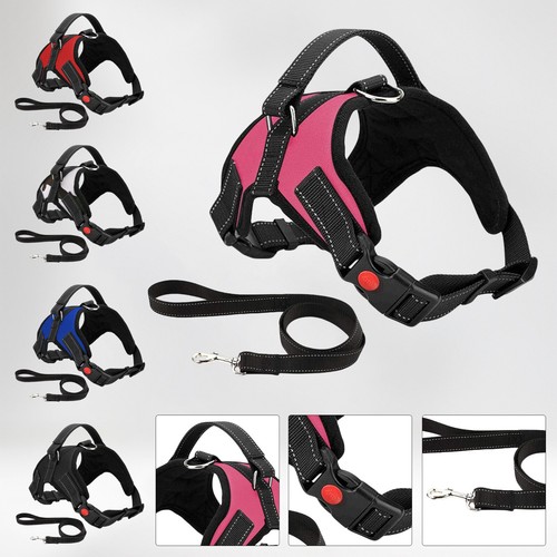 Dog harness for - dog,