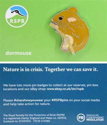 Rspb pin badge niic - rspb, dormouse