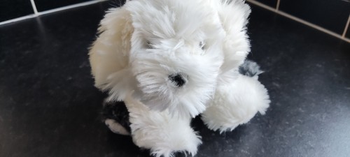 Official 2011 dulux puppy - 2011, dog