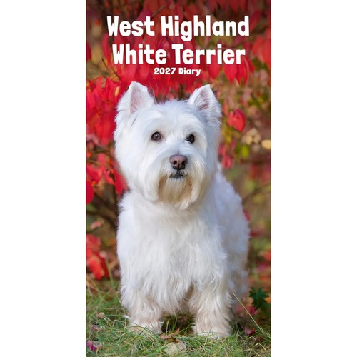 West highland white - west,