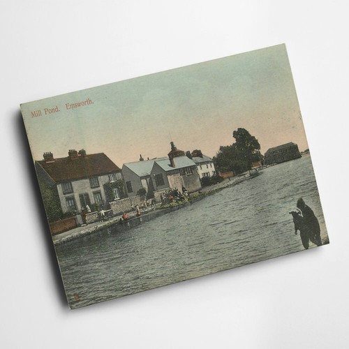 Print vintage hampshire - -,