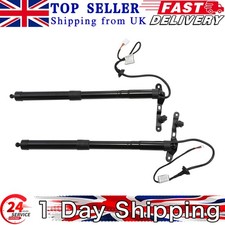 Electric Tailgate Gas Strut