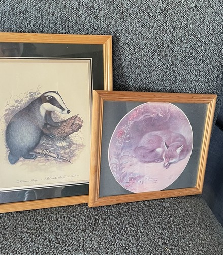 Vintage framed wildlife - vintage,