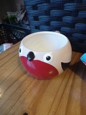 Robin Mug Shaped Boxed Robin Red Breast Bird