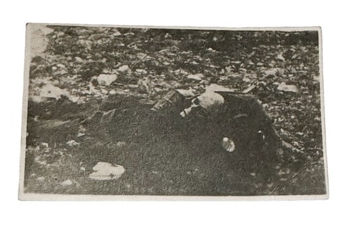 Ww1 era photo - photo, casualty