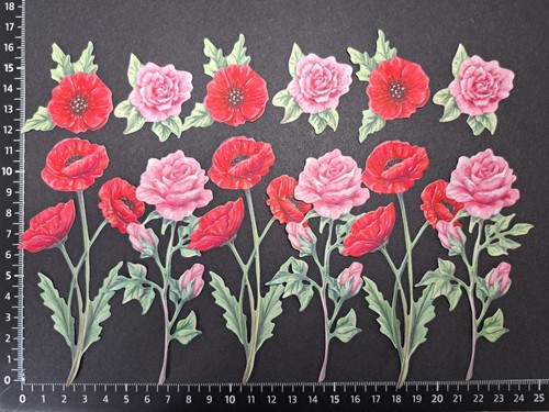 Poppies roses die - poppies, cuts
