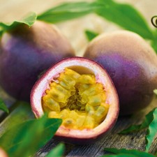 Passiflora 'Suntropics'. 2L