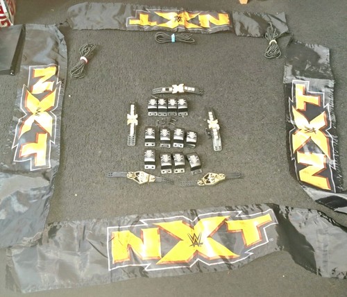 Nxt authentic scale ring - scale,