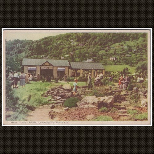 Sterretts cafe symonds yat - cafe,