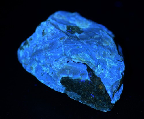 Amber fluoresces blue - fluoresces, blue.