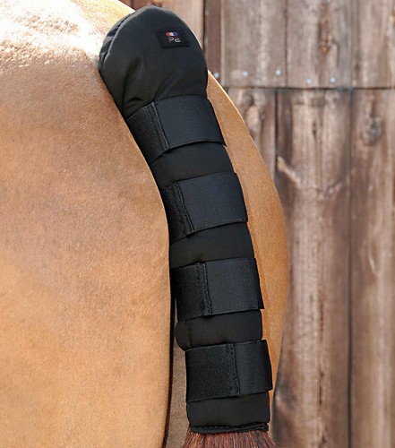 Premier equine stay horse - premier, stay-up