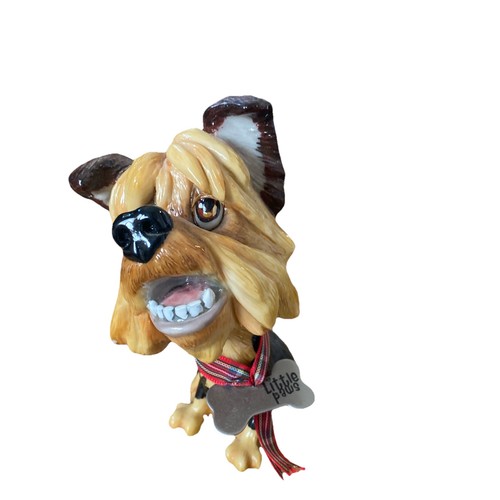 Little paws yorkshire terrier - paws,