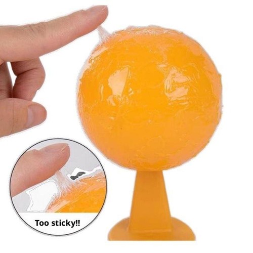 Fruit fly trap - fly,