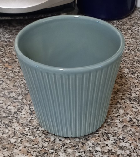 Plant pot - plant,