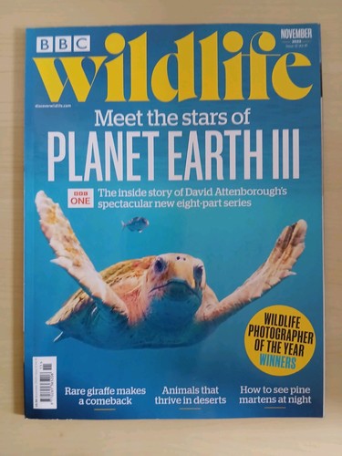 Bbc wildlife november 2023 - bbc,