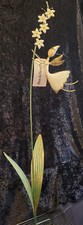 Fairy Lawn Stake with Flowers