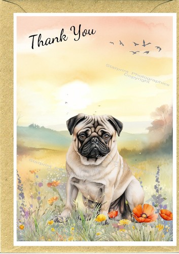 Pug dog thank - dog, blank