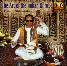 THE ART OF THE INDIAN DILRUBA