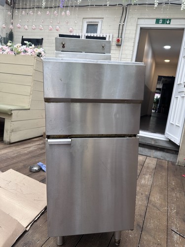Twin tank gas - gas, fryer