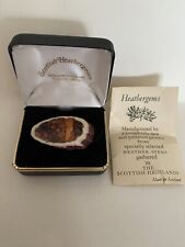 Scottish Heathergems Polished Horn Brooch Stag Antler Pin in Original Box 1 of 2