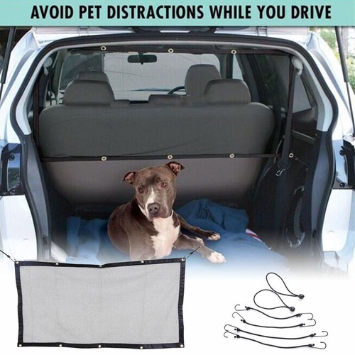 Pets dog car - pets,
