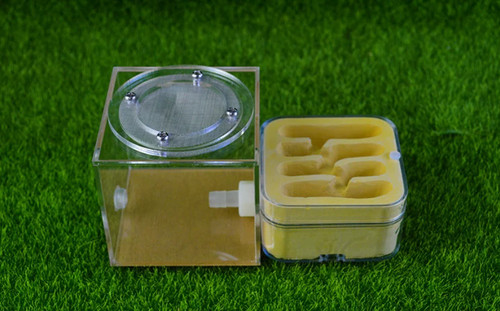 Natural acrylic ant farm - natural,