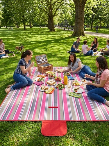 Picnic blanket mat - picnic,