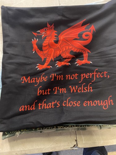 Great welsh cushion - a, im
