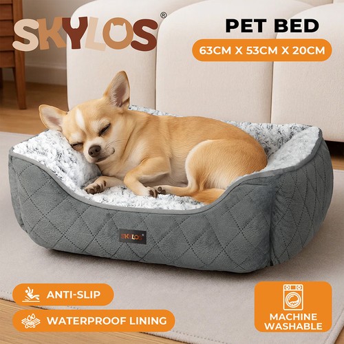 Skylos pet dog - skylos, calming