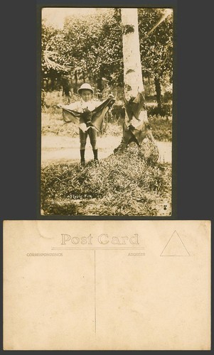Flying fox bats - flying,