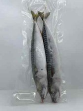 Mackerel Whole 2's - 10