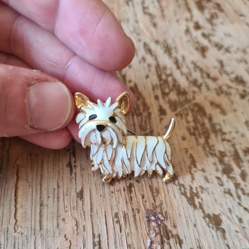 West highland white - white, (westie)