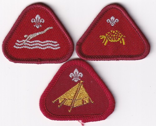 Boy scout badges - scout, obsolete