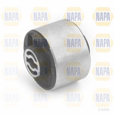 Napa rear lower - napa,