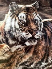 Franklin Mint Fine Porcelain Ltd Edition Pure Power Tiger Display Plate ✅ 1153