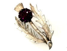 Vintage scottish thistle - scottish,