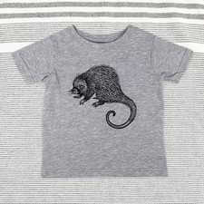 Porcupine 4 zoo animal - Baby